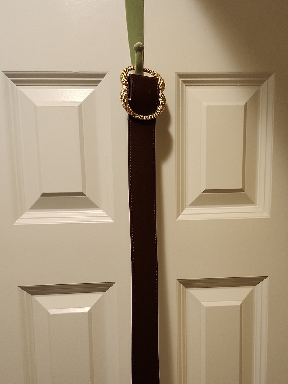 Sézane (Rare) Artemis Belt Bovine Leather Designer Chocolate Glacé Brown 80 - Picture 5 of 6